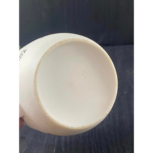 N. Carolina Outer banks Lighthouses Mug  Sharp Bodin Currituck Cape Hatteras Ocr - Picture 5 of 6